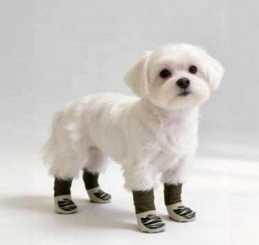 Pet socks