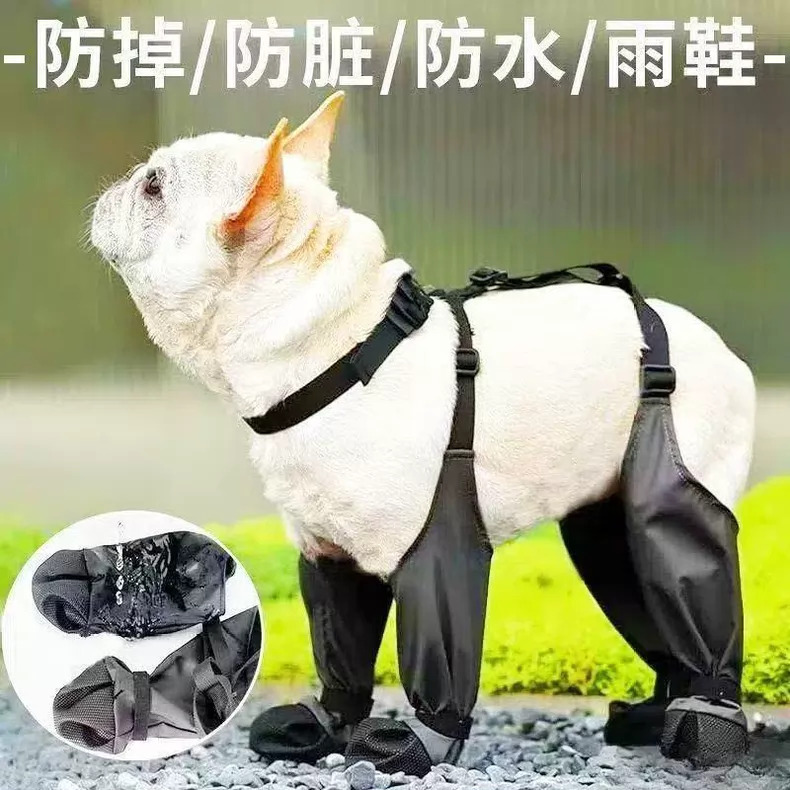 Pet socks dog socks
