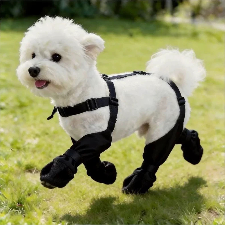 Pet socks dog socks